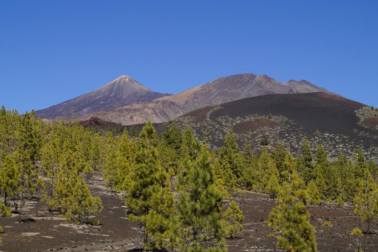 Vista Del Drago Villa Icod de los Vinos Kültér fotó